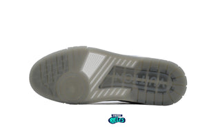 Louis Vuitton LV Trainer Grey Crystals
